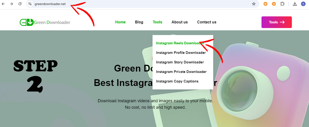 Instagram Reels Downloader