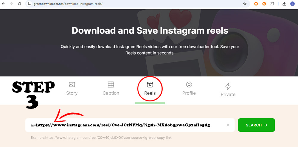 Téléchargeur de Reels Instagram