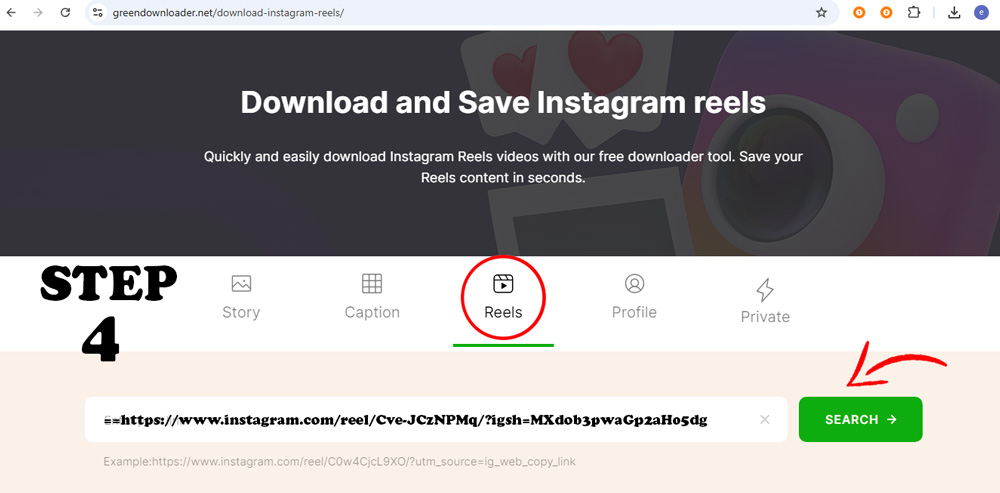 Downloader di Reels di Instagram
