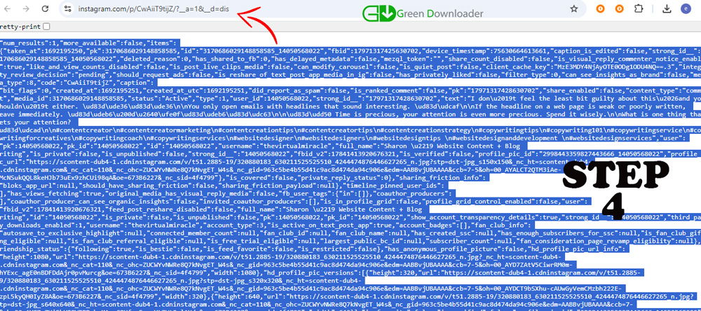Privater Instagram Downloader