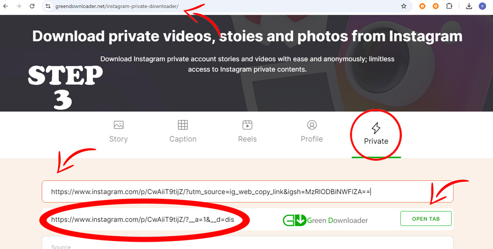 Descargador Privado de Instagram