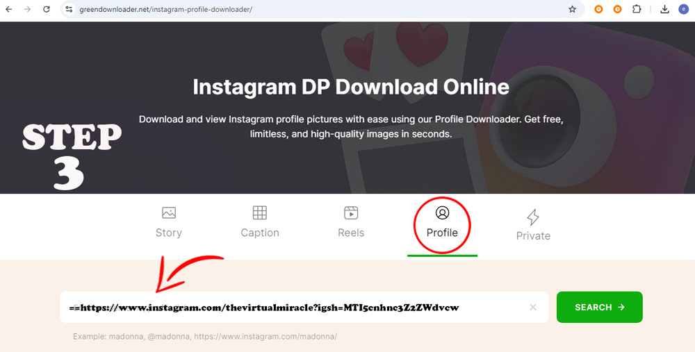 Instagram Profilbild Downloader