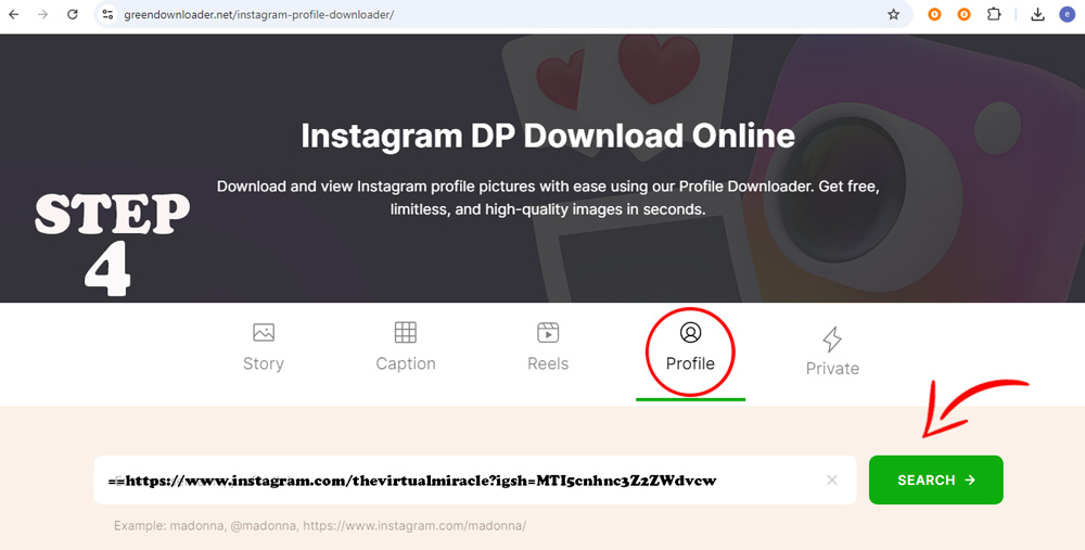 Instagram Profile Picture Downloader