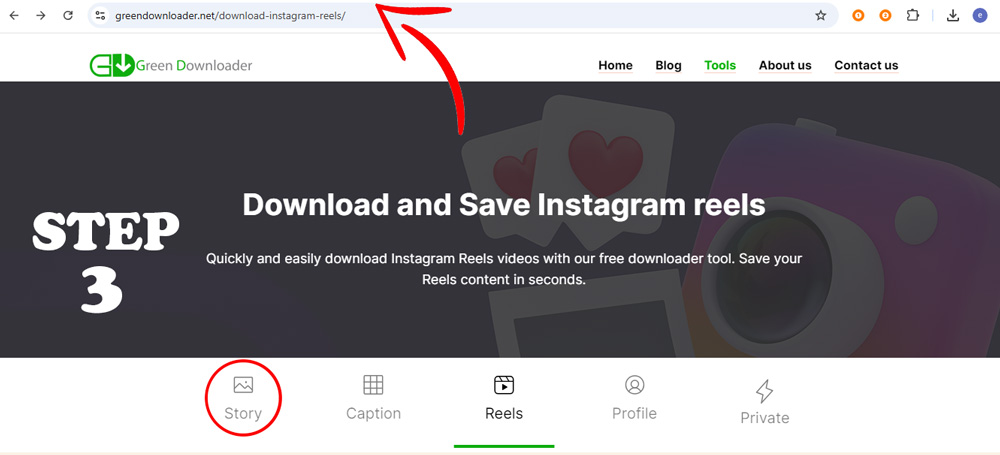 Download Instagram Story
